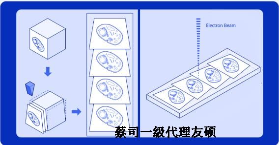 西城蔡司西城扫描电镜