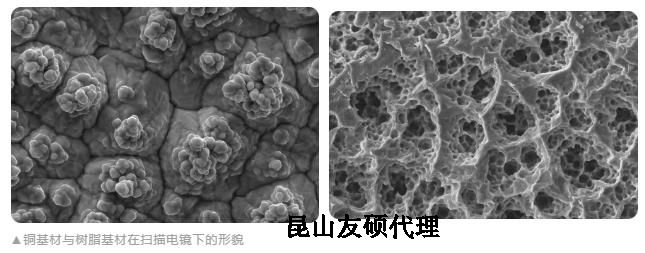 西城蔡司西城扫描电镜