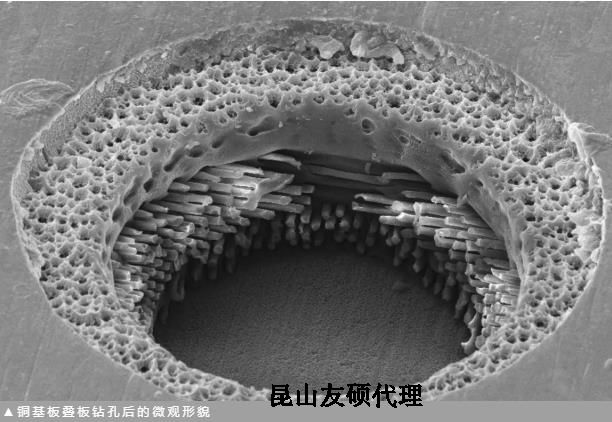 西城蔡司西城扫描电镜